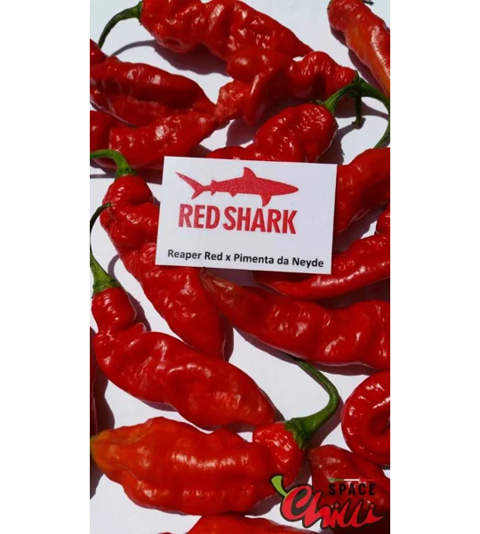 Red Shark F7 (10+ Seeds)