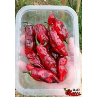 Red Shark F7 (10+ Seeds)