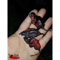 Leopard Reaper F8 (10+ Seeds) Leopard Reaper F8 (10+ Seeds)