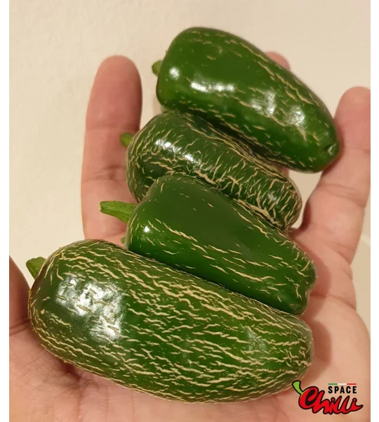 Jalapeno Space (10+ Seeds)