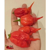 Gasoline F3 (10+ Seeds) Gasoline F3 (10+ Seeds)