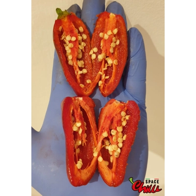 Jalapeno Space (10+ Seeds) Jalapeno Space (10+ Seeds)