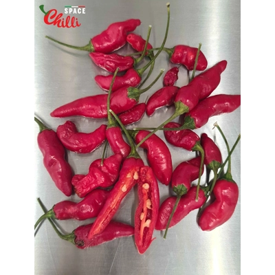 Adelante F1 (10+ Seeds) Adelante F1 (10+ Seeds)