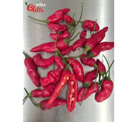 Adelante F1 (10+ Seeds)
