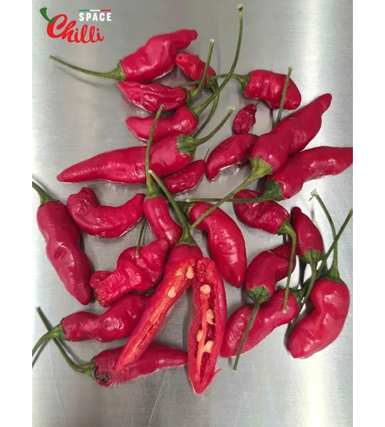 Adelante F1 (10+ Seeds)