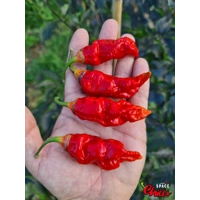 Adrenalina Red F5 (10+ Seeds) Adrenalina Red F5 (10+ Seeds)