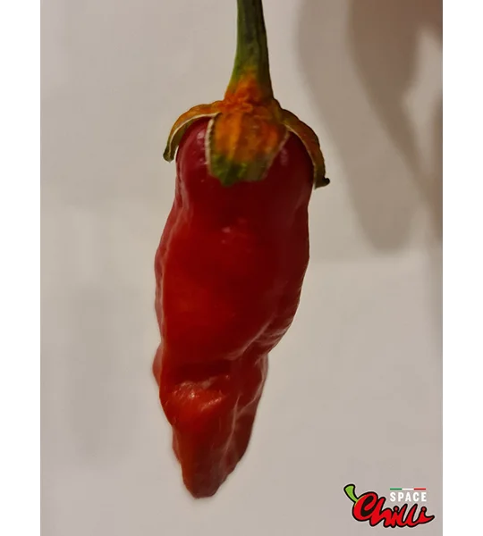 Adrenalina Red F5 (10+ Seeds)