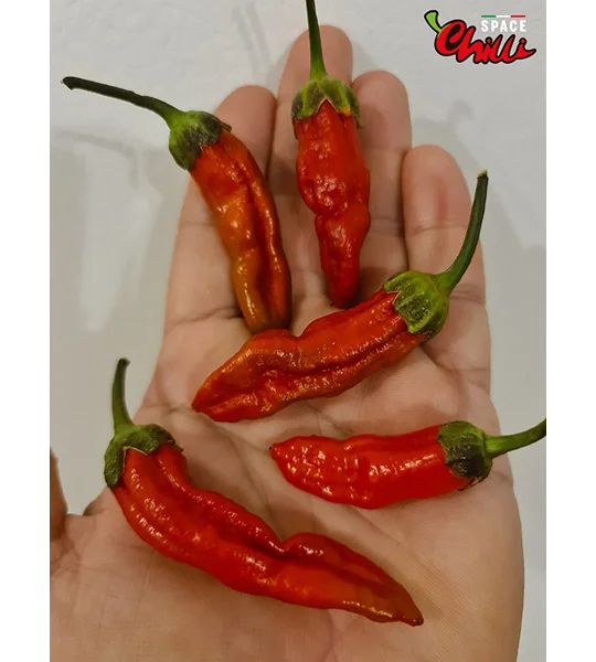 Adrenalina Red F5 (10+ Seeds)