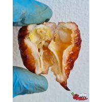 Delirio F4 (10+ Seeds) Delirio F4 (10+ Seeds)