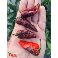 Freedom F3 (10+ Seeds) Freedom F3 (10+ Seeds)