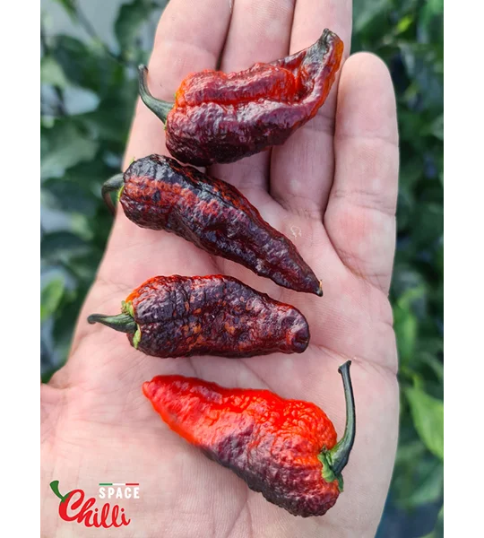 Freedom F3 (10+ Seeds)