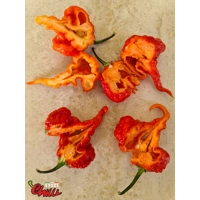 Gasoline F3 (10+ Seeds) Gasoline F3 (10+ Seeds)