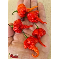 Gasoline F3 (10+ Seeds) Gasoline F3 (10+ Seeds)