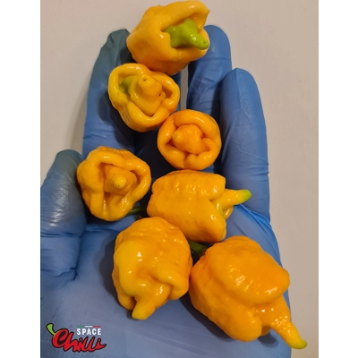 HabaReaper Peach F4 (10+ Seeds) HabaReaper Peach F4 (10+ Seeds)