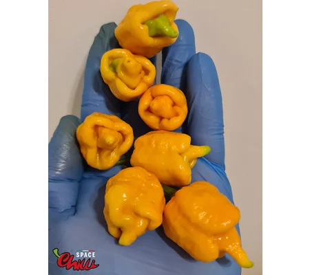 HabaReaper Peach F4 (10+ Seeds)