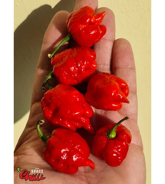 HabaReaper Red F4 (10+ Seeds)