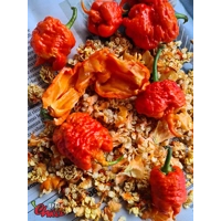 Hydra F5 - Red+Choco (20+ Seeds) Hydra F5 - Red+Choco (20+ Seeds)