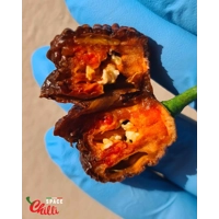 Hydra F5 - Red+Choco (20+ Seeds) Hydra F5 - Red+Choco (20+ Seeds)