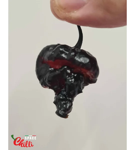 Leopard Reaper F8 (10+ Seeds)