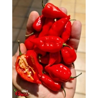 Little Bhut Jolokia Red (10+ Seeds) Little Bhut Jolokia Red (10+ Seeds)