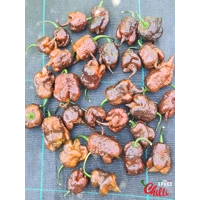 Malibu Chocolate F4 (10+ Seeds) Malibu Chocolate F4 (10+ Seeds)