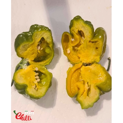 Malibu Mustard F4 (10+ Seeds) Malibu Mustard F4 (10+ Seeds)