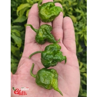 Malibu Mustard F4 (10+ Seeds) Malibu Mustard F4 (10+ Seeds)