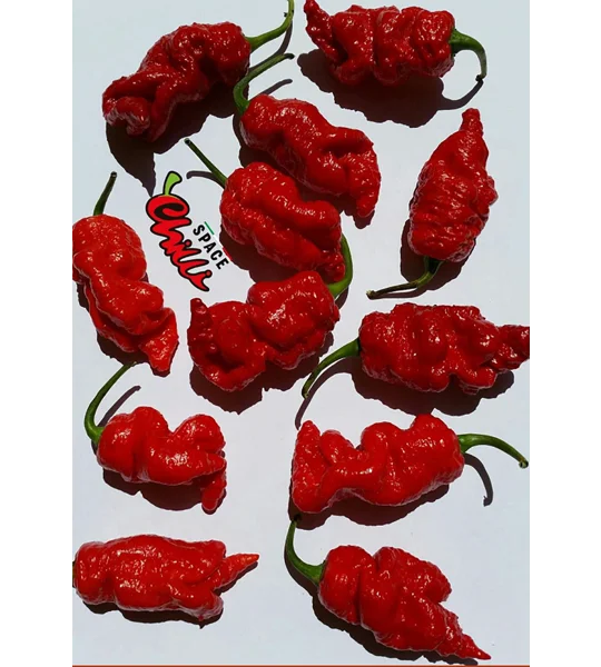 Naga Boom Red F5 (10+ Seeds)