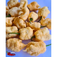 Whynot Peach F4 (10+ Seeds) Whynot Peach F4 (10+ Seeds)