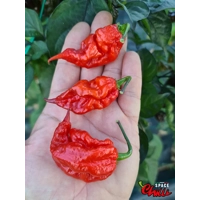 Red Shark F7 (10+ Seeds)