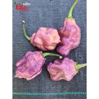 The King Purple Peach F4 (10+ Seeds) The King Purple Peach F4 (10+ Seeds)