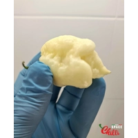 Whynot F5 (10+ Seeds) Whynot F5 (10+ Seeds)