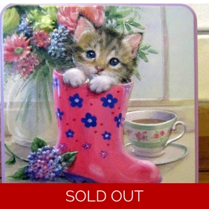KITTEN IN A WELLY
