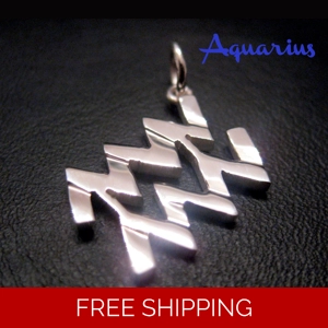 Aquarius Zodiac Charm