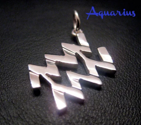 Aquarius Zodiac Charm