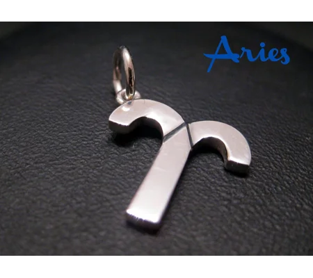 Aries Zodiac Charm Necklace