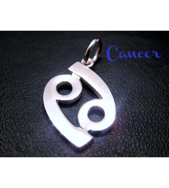 Scorpio Charm Necklace