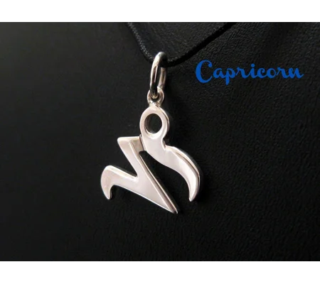 Capricorn Zodiac Charm Necklace
