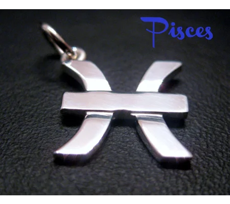 Pisces Zodiac Charm Necklace