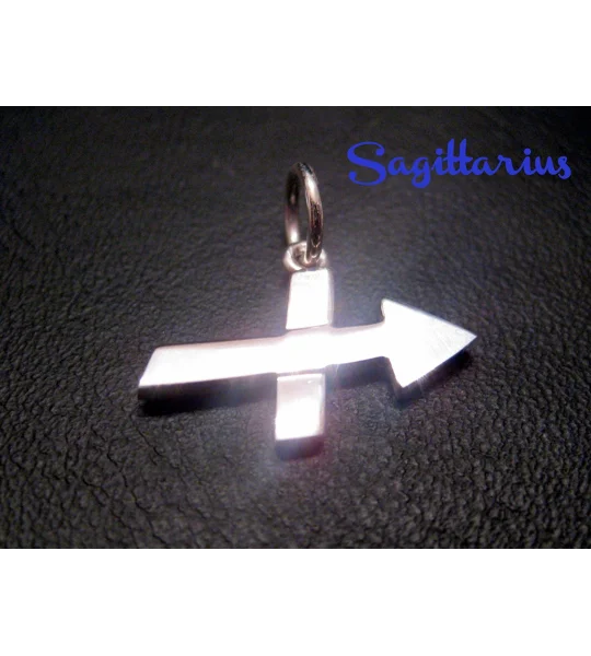 Scorpio Charm Necklace