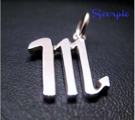 Scorpio Charm Necklace