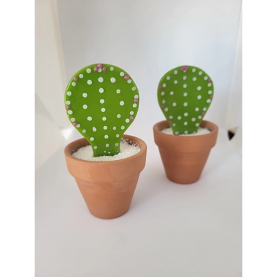 Small potted glass cactus -terracotta pot