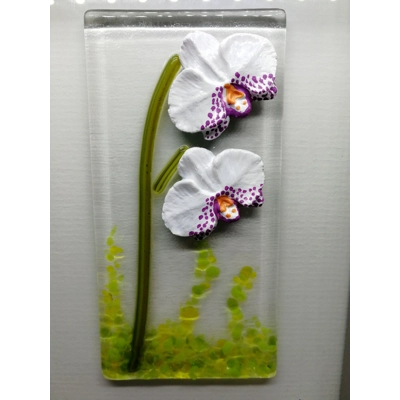 White orchid picture