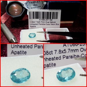 Apatita Oval color Paraiba 1.08 Cts.