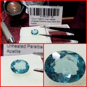 Apatita Oval color Paraiba 1.21 Cts