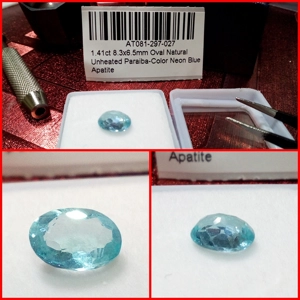 Apatita Oval color Paraiba 1.41 Cts
