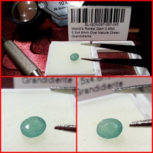 Grandidierita Azulada talla Oval 0.45 Cts