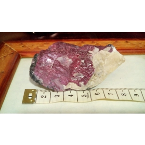 Enorme pieza de rubí corindón en bruto certificado - 615 cts