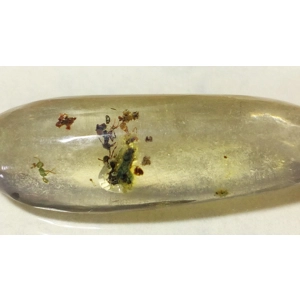 Pieza de Ámbar con Fósiles - 26mm x 8mm