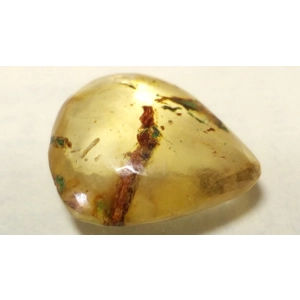 Pieza de Ámbar con Inclusiones - 18mm x 17mm